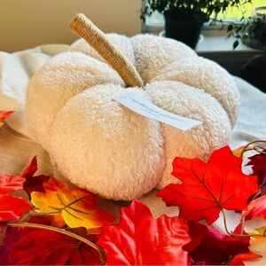 NWT Fall decor - ivory stuffed pumpkin